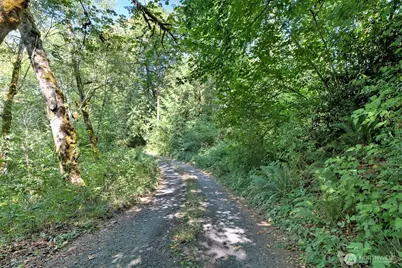 1250 E Crestview Drive, Shelton, WA 98584 - Photo 12