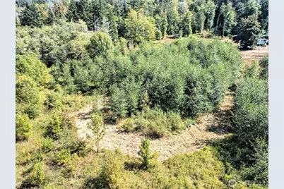 1250 E Crestview Drive, Shelton, WA 98584 - Photo 6