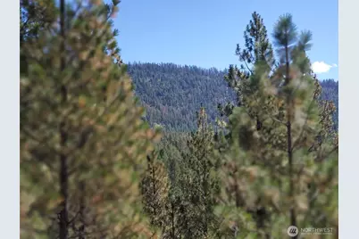 0 Long Horn Trail, Riverside, WA 98849 - Photo 1