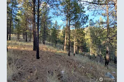 0 Long Horn Trail, Riverside, WA 98849 - Photo 4