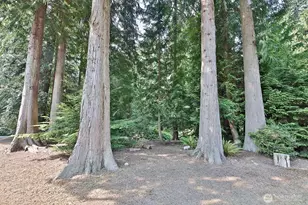 1052 Woodside Lane, Langley, WA 98260 - Photo 36