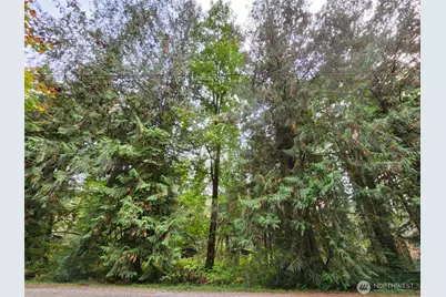 19504 River Place, Index, WA 98294 - Photo 2