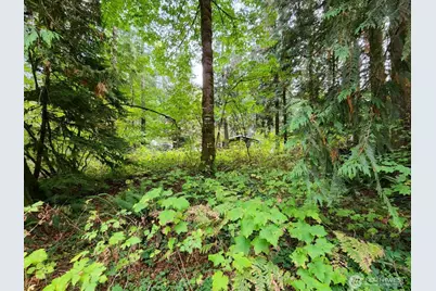 19504 River Place, Index, WA 98294 - Photo 6