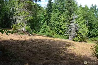 3900 Paradise Bay Road, Port Ludlow, WA 98365 - Photo 2
