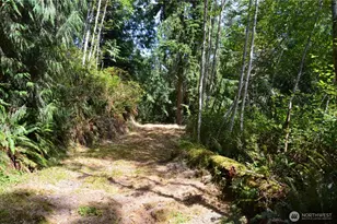 3900 Paradise Bay Rd, Port Ludlow, WA 98365 - Photo 1
