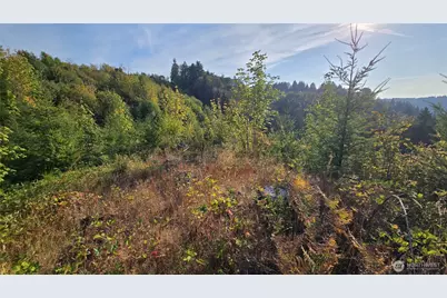 16001 223rd Avenue E, Orting, WA 98360 - Photo 8