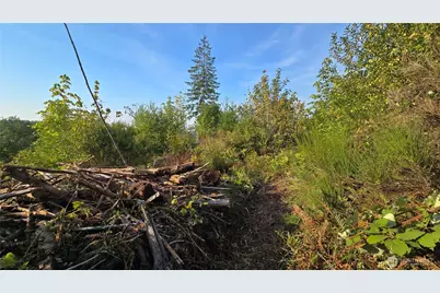 16001 223rd Avenue E, Orting, WA 98360 - Photo 16