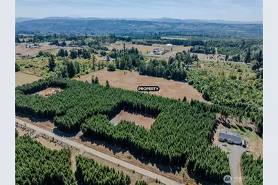 263 Twinflower Lane, Onalaska, WA 98570 - Photo 16