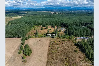 0 McGlaughlin Road #6, Winlock, WA 98596 - Photo 14