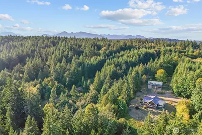 156 Hazel Point Court, Quilcene, WA 98376 - Photo 40