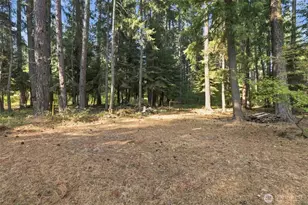 570 W Pacific Ave, Ronald, WA 98940 - Photo 16