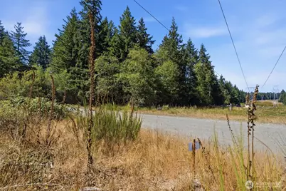 2041 E Rasor Rd, Belfair, WA 98528 - Photo 14