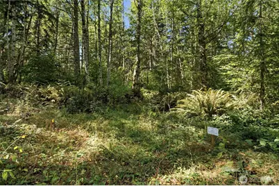 2041 E Rasor Rd, Belfair, WA 98528 - Photo 10