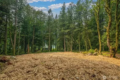 9267 Upper Frost Creek Road, Maple Falls, WA 98266 - Photo 26