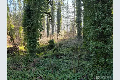 73 Xx 226th Avenue NE #1, Granite Falls, WA 98252 - Photo 2