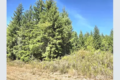 19710 146th Avenue SE, Yelm, WA 98597 - Photo 2