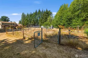 3680 Birch Terrace Dr, Custer, WA 98240 - Photo 36