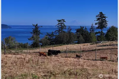 6065 McMaster Road, Freeland, WA 98249 - Photo 4