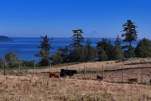6065 McMaster Rd, Freeland, WA 98249 - Photo 4