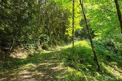 239 Junco Lane, Woodland, WA 98674 - Photo 28