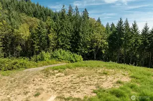 239 Junco Ln, Woodland, WA 98674 - Photo 1