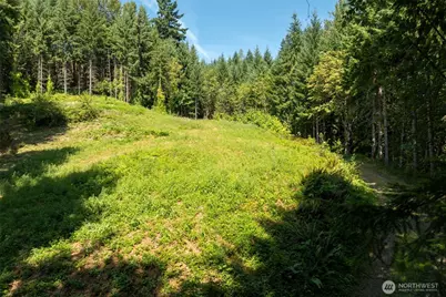 239 Junco Lane, Woodland, WA 98674 - Photo 14