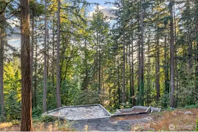 15009 245th Avenue SE, Issaquah, WA 98027 - Photo 4