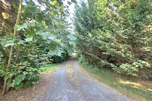 714 Tipsoo Loop S, Rainier, WA 98576 - Photo 22