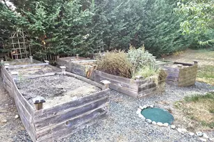 714 Tipsoo Loop S, Rainier, WA 98576 - Photo 20