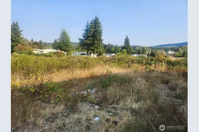 421 Salal Place, Sequim, WA 98382 - Photo 4