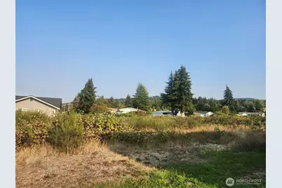 421 Salal Place, Sequim, WA 98382 - Photo 8