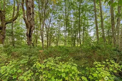 3327 Burley Road, Clinton, WA 98236 - Photo 16