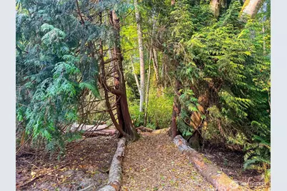 155 Burns Road, Port Ludlow, WA 98365 - Photo 18