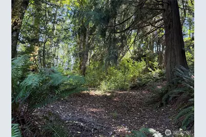 155 Burns Road, Port Ludlow, WA 98365 - Photo 28
