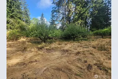 11719 Hobby Street SE, Yelm, WA 98597 - Photo 6