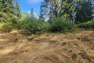 11719 Hobby St SE, Yelm, WA 98597 - Photo 6