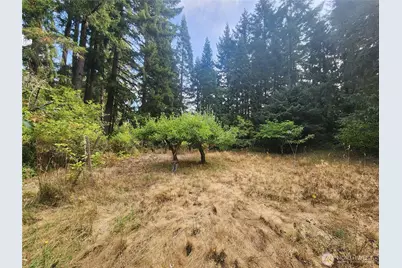 11719 Hobby Street SE, Yelm, WA 98597 - Photo 8