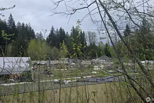 5898 Mt Baker Hwy, Deming, WA 98244 - Photo 22