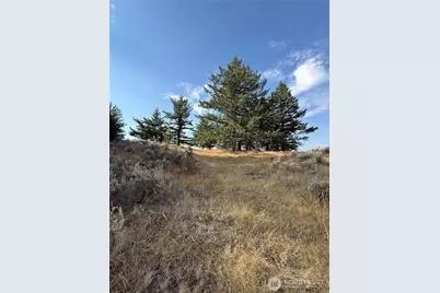 111 Off Log Camp Rd, Oroville, WA 98844 - Photo 10