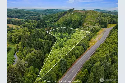 80 Salmon Creek Road, Naselle, WA 98626 - Photo 2