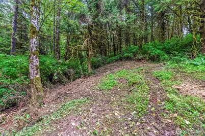 80 Salmon Creek Road, Naselle, WA 98626 - Photo 12