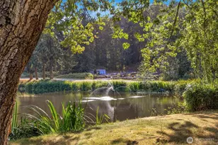 14 S Beach Dr, Everett, WA 98206 - Photo 40