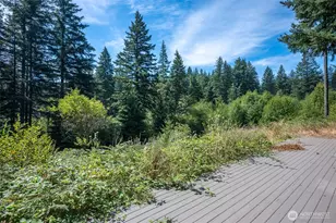 32717 NE 94th St, Camas, WA 98607 - Photo 18
