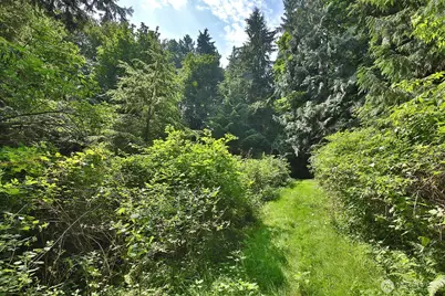 0 Xxx Hellman Road, Clinton, WA 98236 - Photo 24