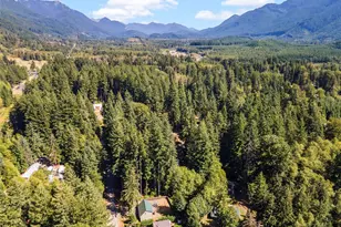 31206 553rd Street E, Ashford, WA 98304 - Photo 34