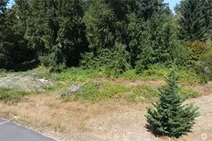 3009 342nd St Ct S, Roy, WA 98580 - Photo 1