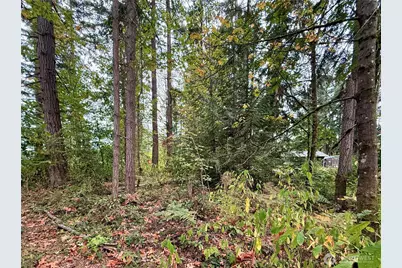 31719 41st Avenue E, Eatonville, WA 98328 - Photo 32