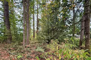 31719 41st Ave E, Eatonville, WA 98328 - Photo 32