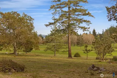 74 Garry Oak Lane, San Juan Island, WA 98250 - Photo 16