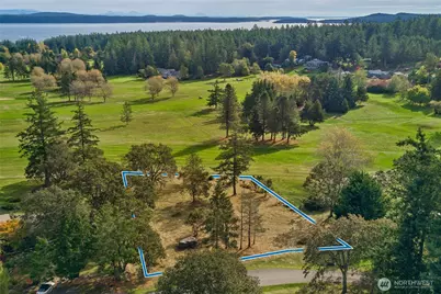 74 Garry Oak Lane, San Juan Island, WA 98250 - Photo 8